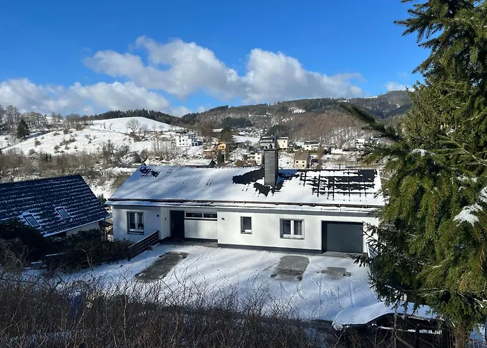 Panoramablick Willingen Schwalefeld