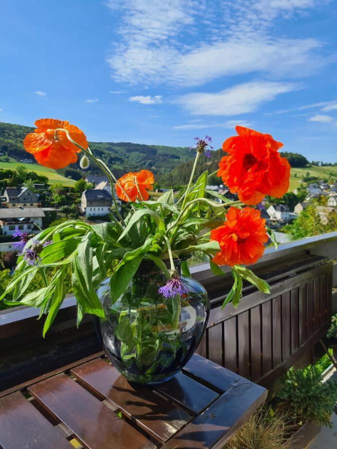 Panoramablick Willingen Schwalefeld