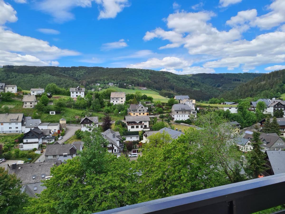 Panoramablick Willingen Schwalefeld Willingen (Upland)