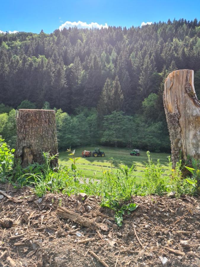 Panoramablick Willingen Schwalefeld * Willingen (Upland)
