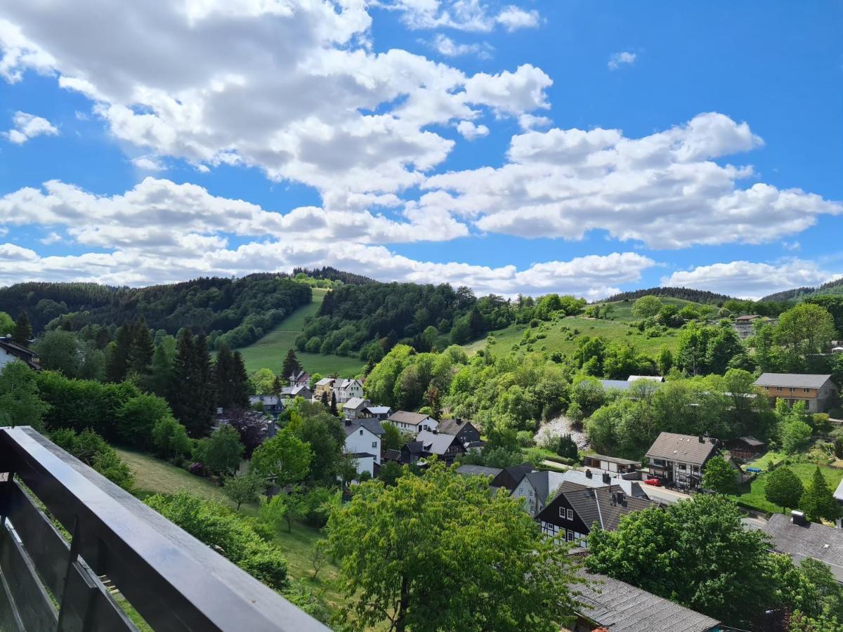 Panoramablick Willingen Schwalefeld Willingen (Upland)